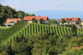 Weingut Sternat vlg. Schmalzpeter, Arnfels, Österreich